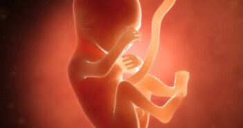 18. Schwangerschaftswoche (SSW) – wird das Geheimnis gelüftet?