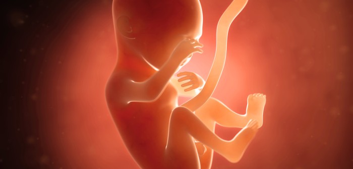 18. Schwangerschaftswoche (SSW) – wird das Geheimnis gelüftet?