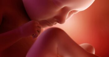 35. Schwangerschaftswoche (SSW) – Training für den Beckenboden