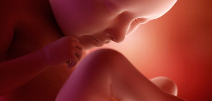 35. Schwangerschaftswoche (SSW) – Training für den Beckenboden