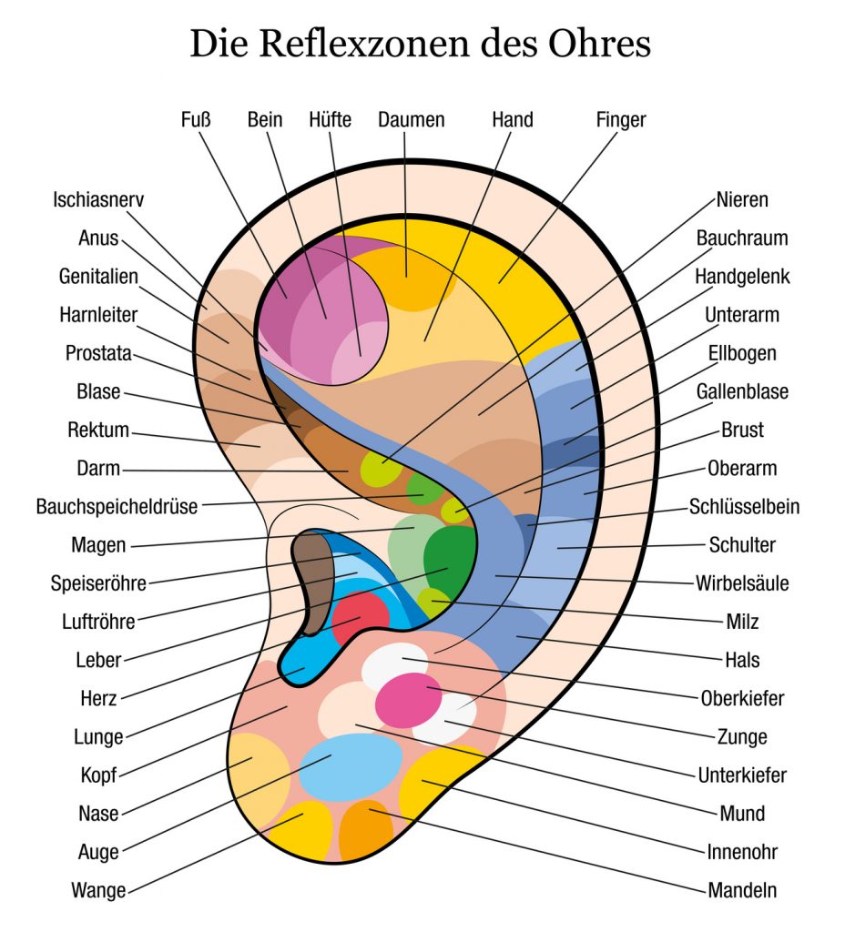 Infografik Akupressur: Die Reflexzonen des Ohres (#02)