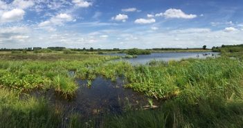 Moorbad Kuren: Das Naturheilmittel Moor