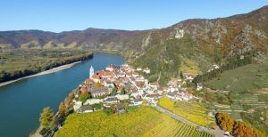 Das Rheintal ist ohne Weinberge fast undenkbar. Sie sollten sich dessen bewusst sein, wenn Sie sich auf ein Burghotel am Rhein einlassen. Aber es ist ja nur zu ihrem Besten! Die edlen Tropfen aus dem Rheintal und der näheren und der weiteren Umgebung werden zu ihrer persönlichen Erbauung beitragen. Wellness von innen sozusagen. (#1)