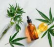 CBD-Öl: Tropfen mit heilender Wirkung? ( Foto: Shutterstock - IRA_EVVA_)
