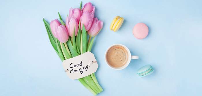 Guten Morgen Gedicht für einen schönen neuen Tag ( Foto: Adobe Stock - juliasudnitskaya )