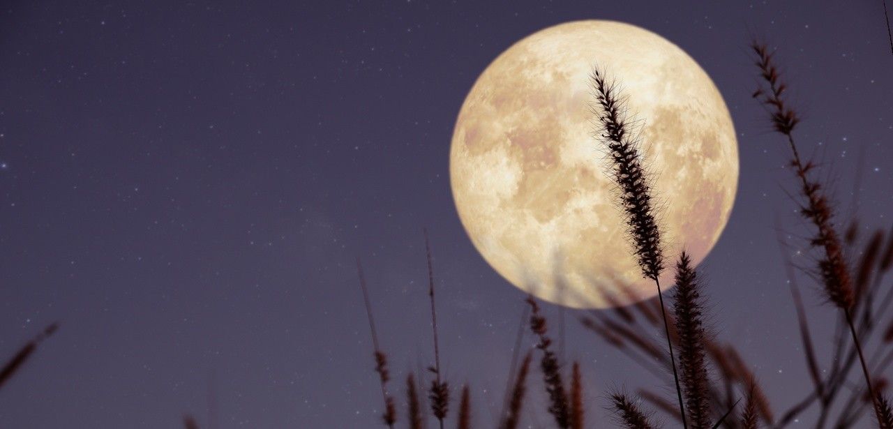 Der Mond: Einfluss auf Gezeiten, Meeresströmungen und Klima (Foto: AdobeStock -  jakkapan 345456870)