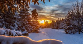 Entspannung und Aktivitäten im winterlichen Harz genießen (Foto: AdobeStock - Andreas Levi 555917566)