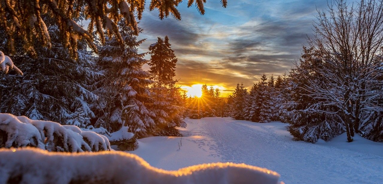 Entspannung und Aktivitäten im winterlichen Harz genießen (Foto: AdobeStock - Andreas Levi 555917566)